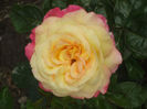 DSCF2832