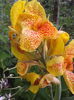 20130623_150417