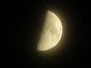 DSCN3687