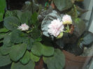 DSCN3711
