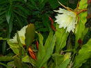 DSCN3715