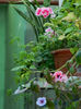 DSCN3717