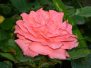 DSCN3723