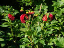 DSCN3730