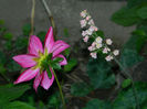 DSCN3738