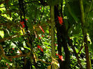 DSCN3743