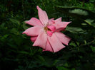 DSCN3773