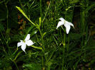 DSCN3778