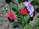 DSCN3779