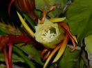 DSCN3813