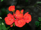 DSCN3814