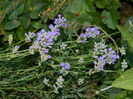 DSCN3818