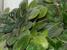 DSCN3830