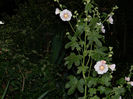 DSCN3841