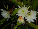 DSCN3848