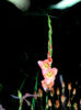 DSCN3852