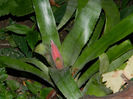 DSCN3874