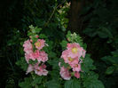 DSCN3893