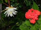 DSCN3902