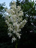 DSCN3918