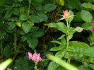 DSCN3921