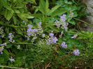 DSCN3928