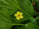 DSCN3931