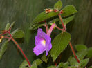 DSCN3957