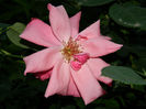 DSCN3788