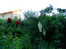 DSCN3792