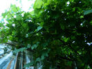 DSCN3806