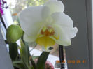 DSCN3453