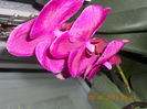 DSCN3455