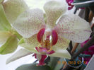 DSCN3518
