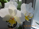 DSCN3519