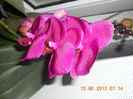 DSCN3521