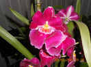 DSCN3446