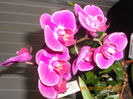 DSCN3447