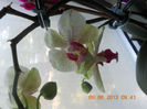 DSCN3454