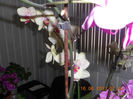 DSCN3579