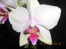 DSCN3581