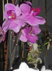 DSCN3583