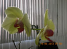 DSCN3584