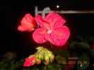 DSCN3495