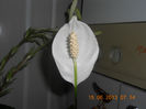 DSCN3522
