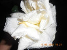 DSCN3500