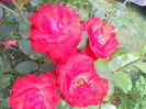 DSCN3560