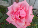 DSCN3567