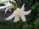 DSCN3558