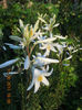 DSCN3570